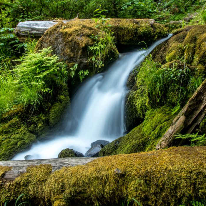Near Watson Falls Hike