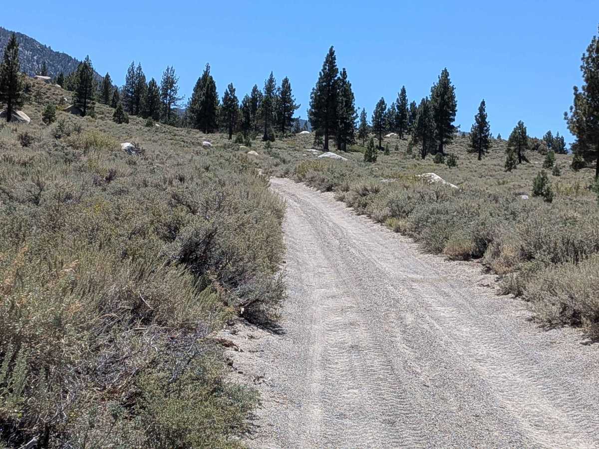 June Lake Shortcut - FS 1S32 photo 6
