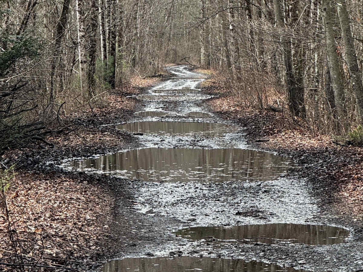 Hog Back Tunnel Trail photo 4