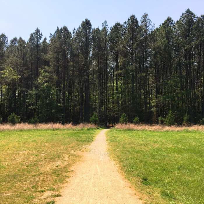 This is the entrance to the Neverland Loops. Near Crow Branch Overlook Loop Trail