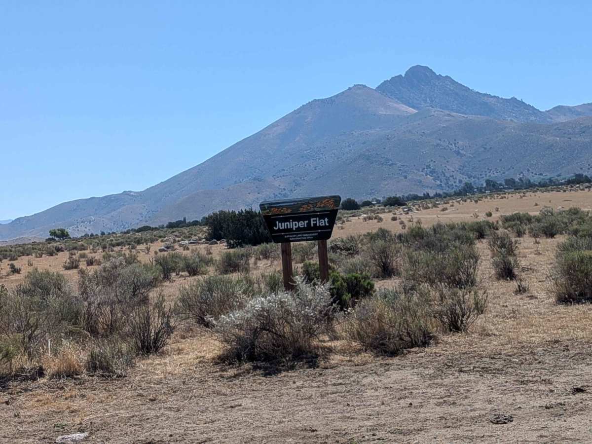 Juniper Flat trail photo