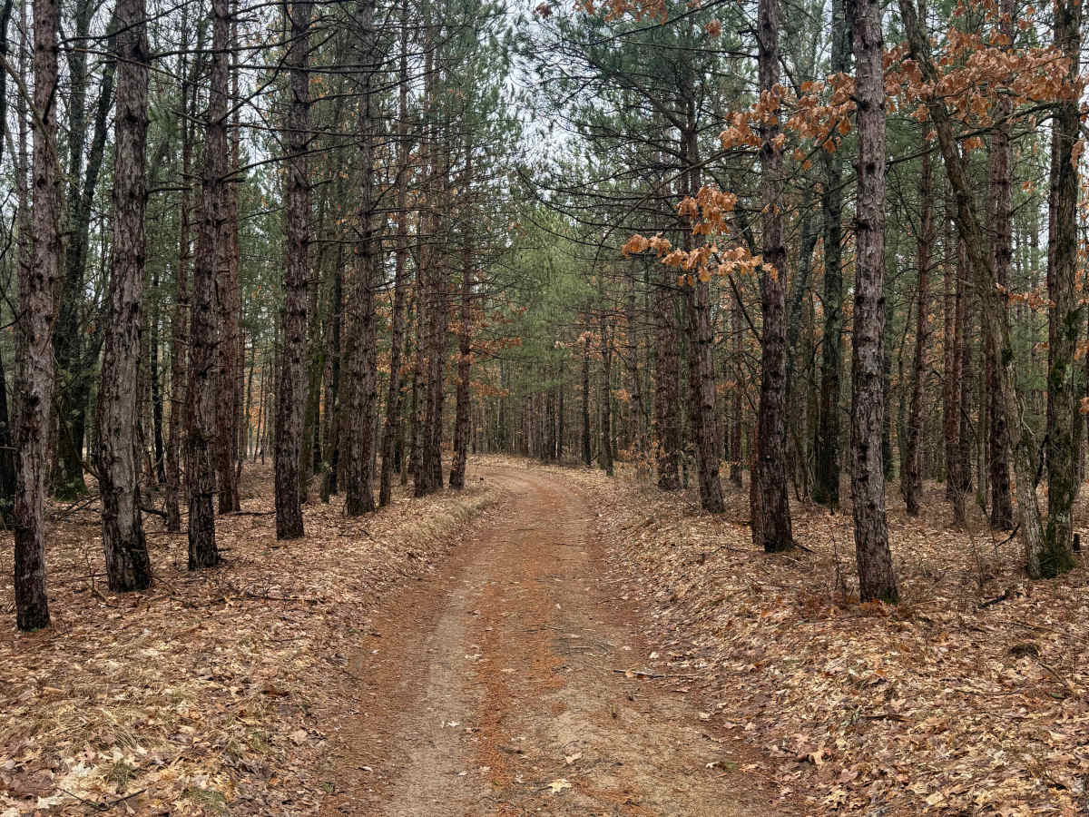 FS 5037 trail photo