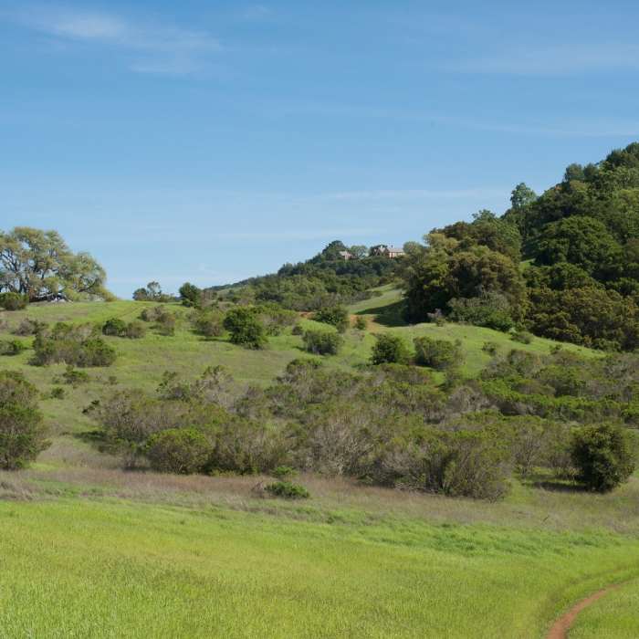 The trail can be seen as it drops down the hill and then climbs back up on the other side. It's a narrow dirt track for a majority of the hike. Near Bowl Loop Trail