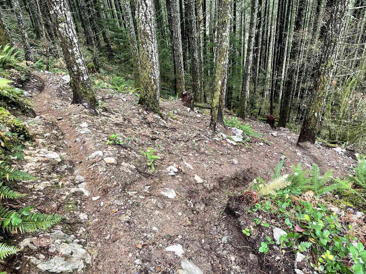 Trials Trail photo 3