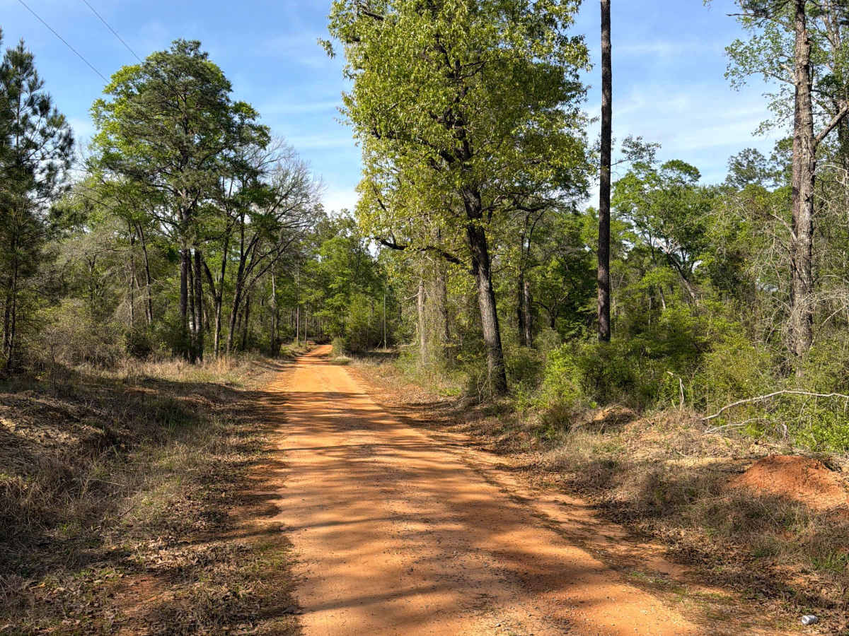 McCoy Road photo 5