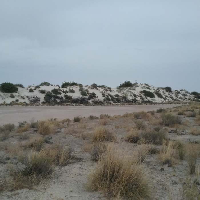 View of the dunes Near Playa Trail