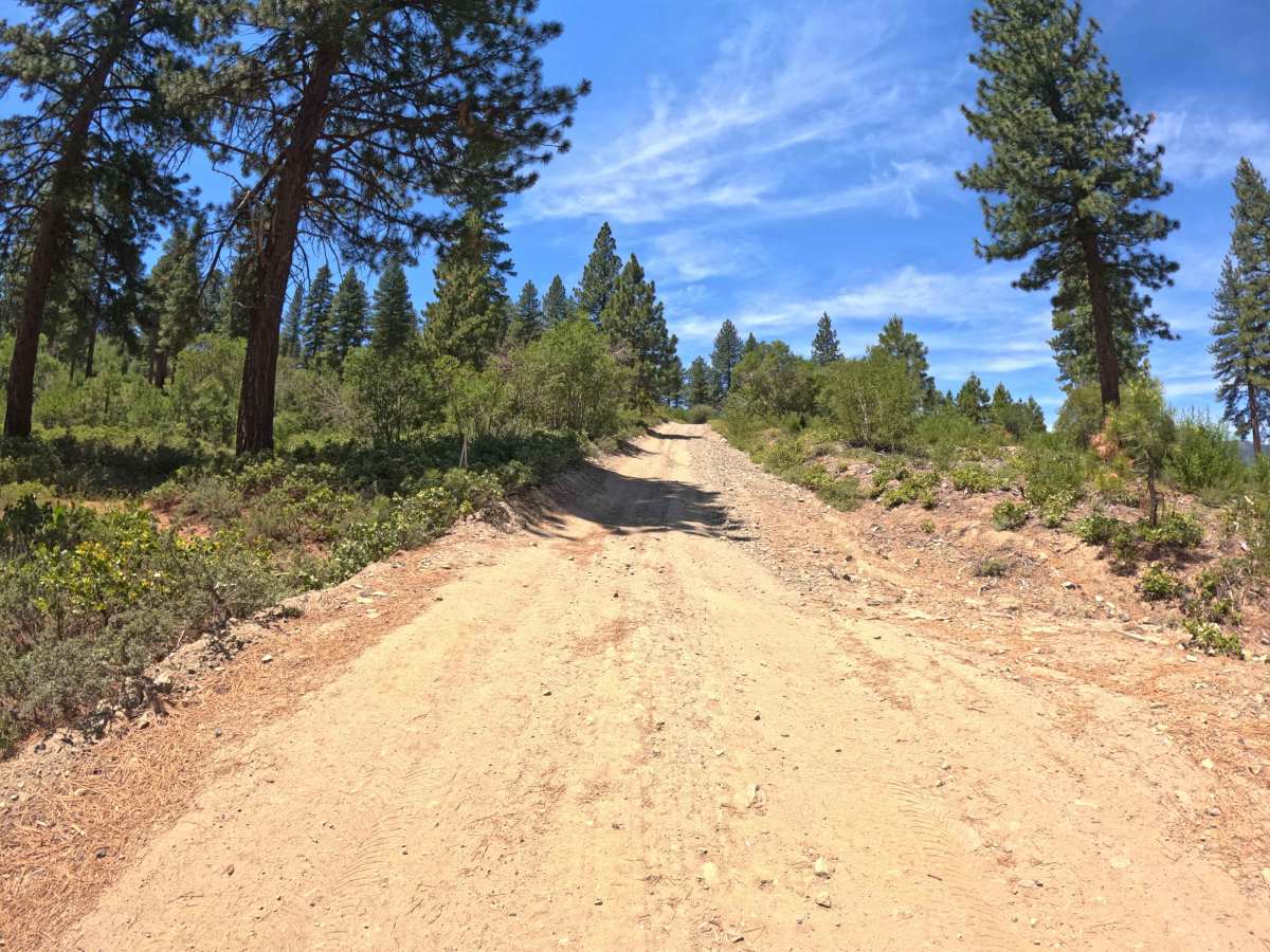 Verdi Ridge Loop Road - FS 31074 photo 4