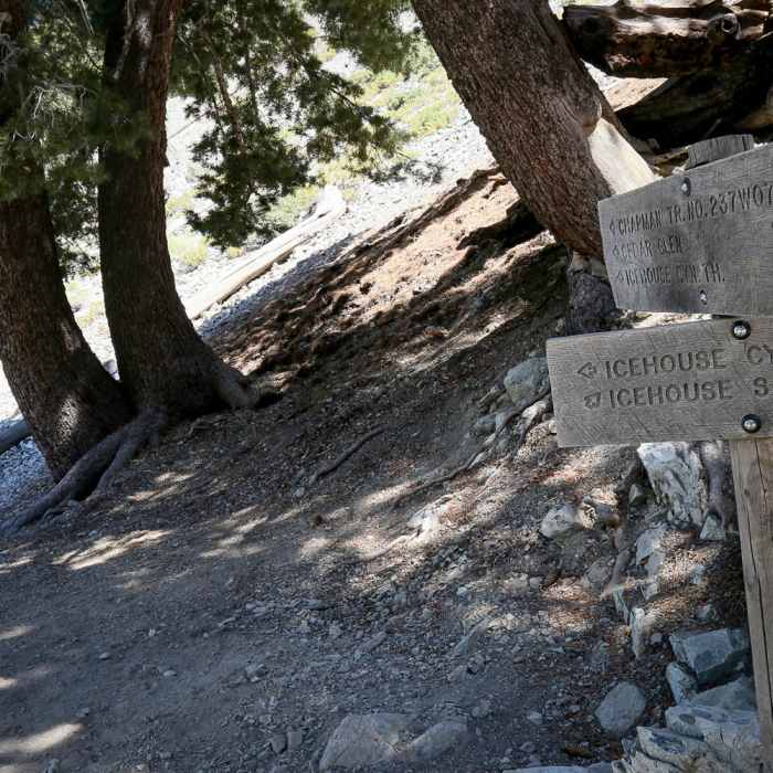 Near Icehouse Saddle via Chapman Trail