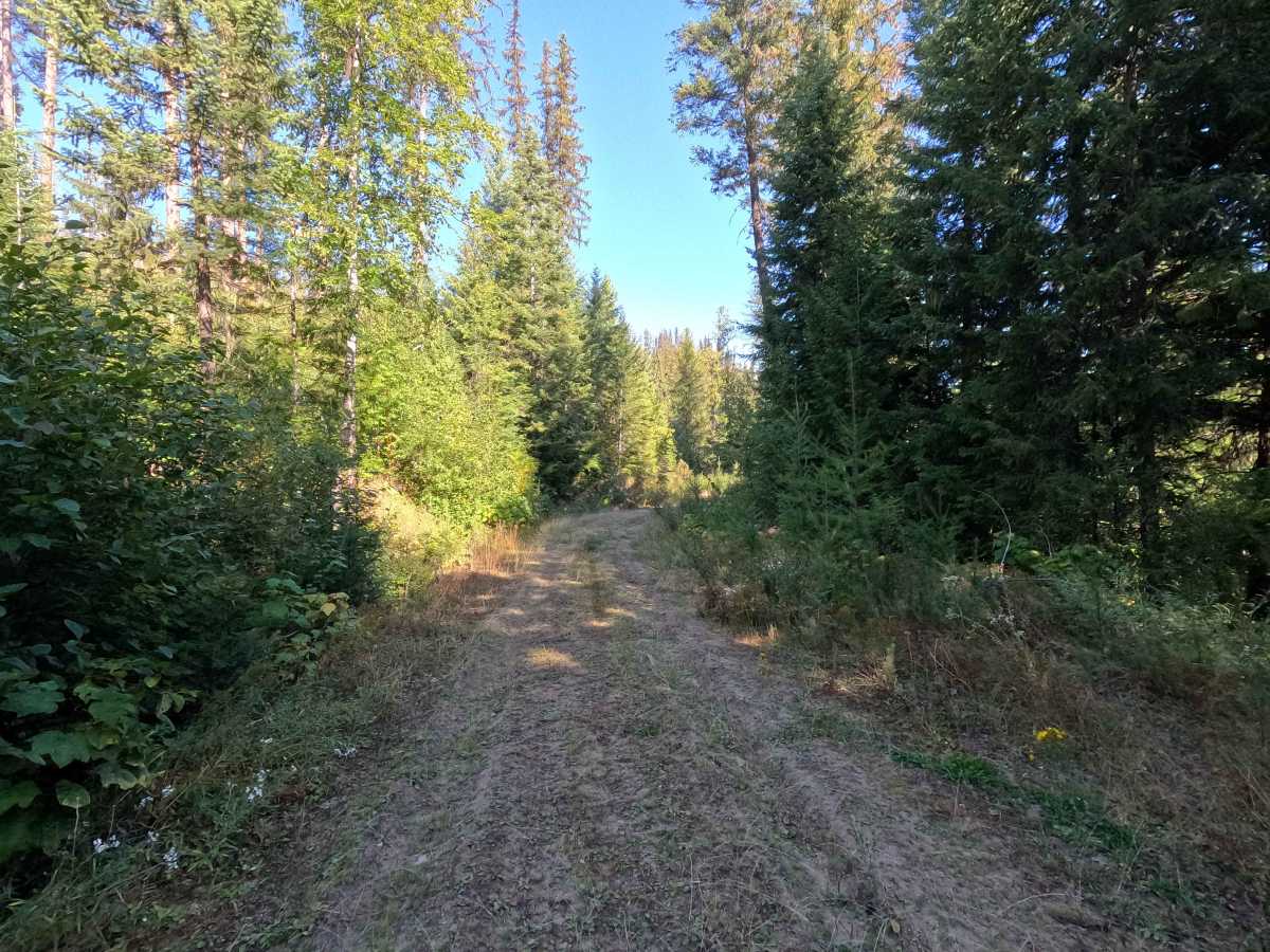 Klahowya Creek F - FS 1075F photo 3