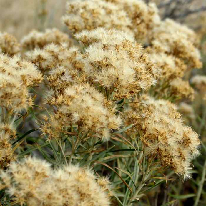 Near Castle Trail Hike