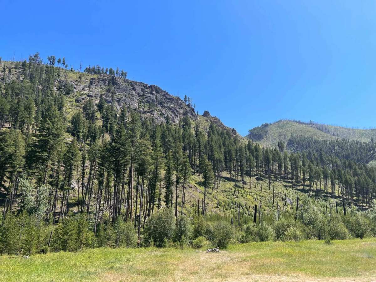 Crazy Creek Warm Springs photo 4