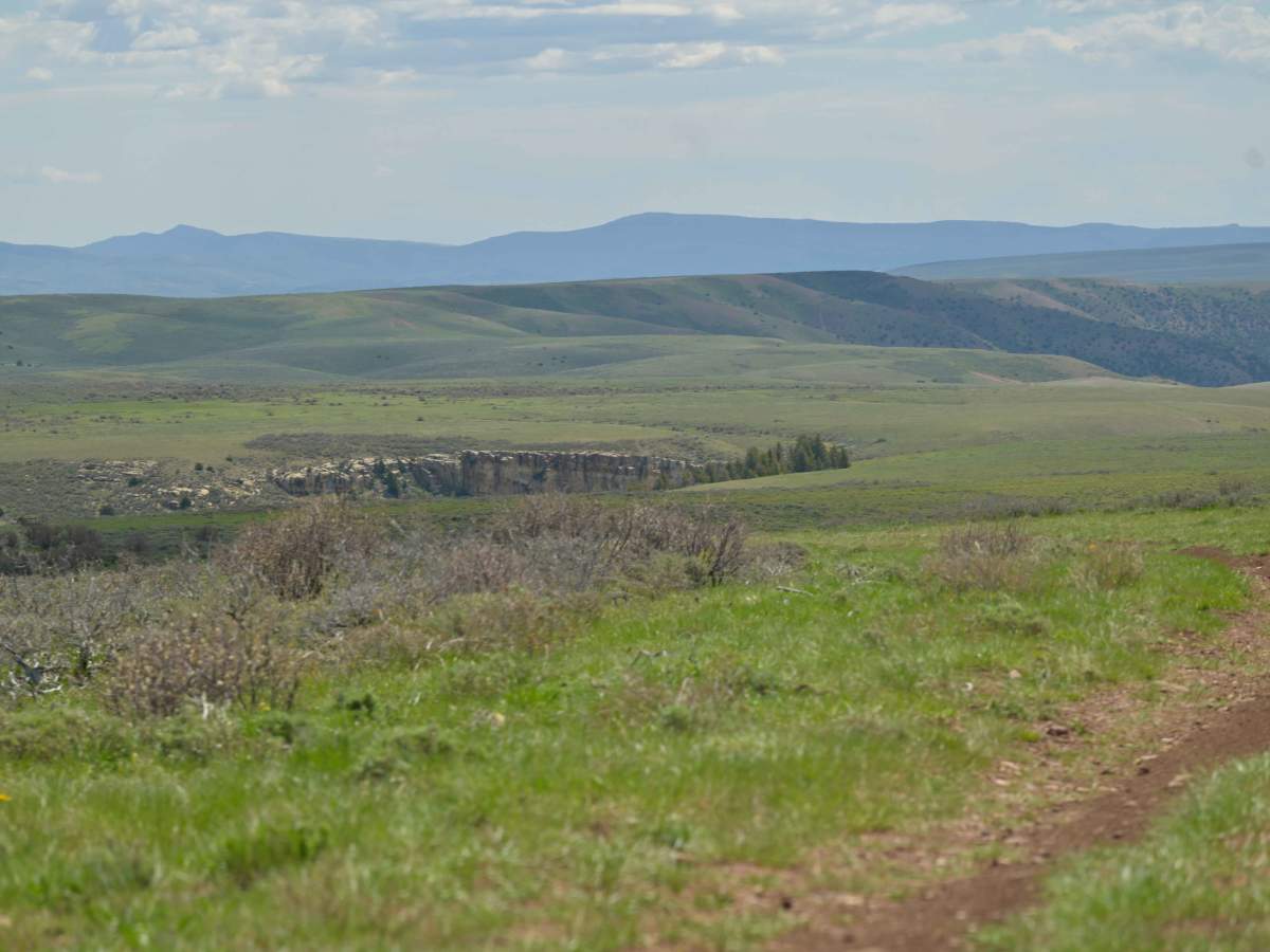 Burnt Cabin Gorge Overlook - FS 10060 photo 6