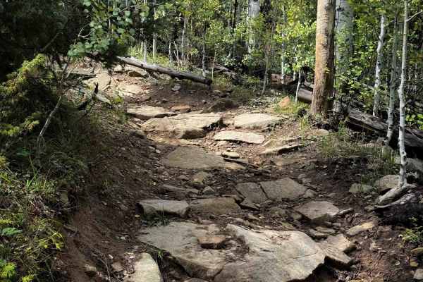 La Cueva Trail - FS 8