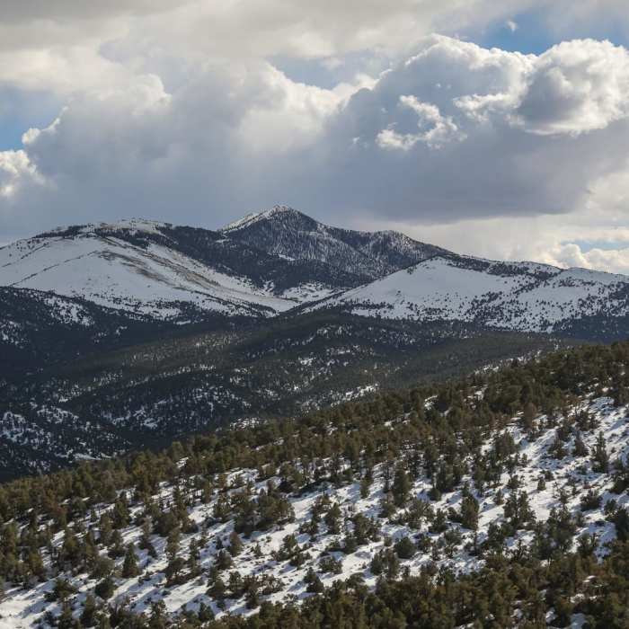 Near Saxton Peak - South Trail