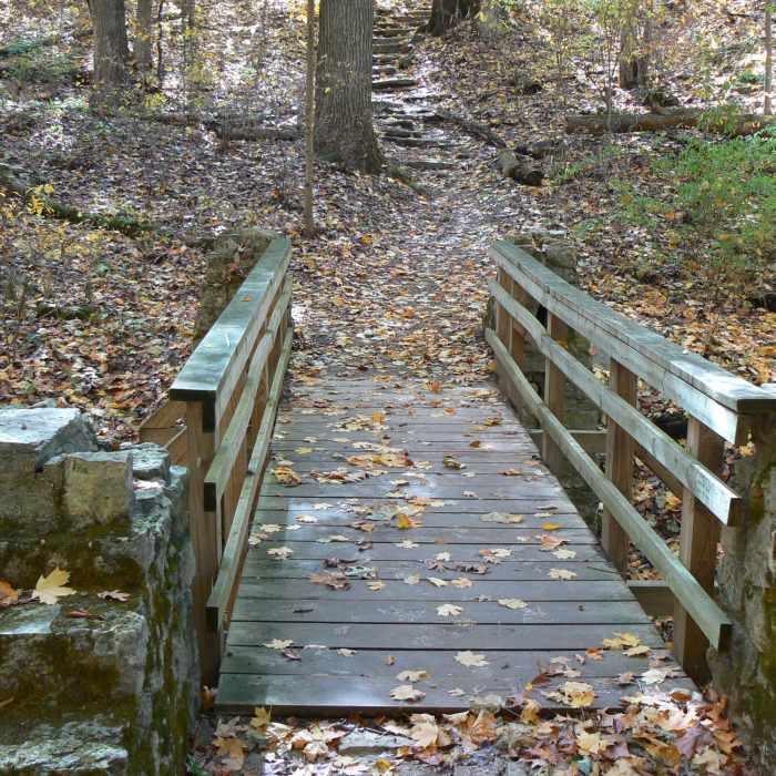 Near Trail 4