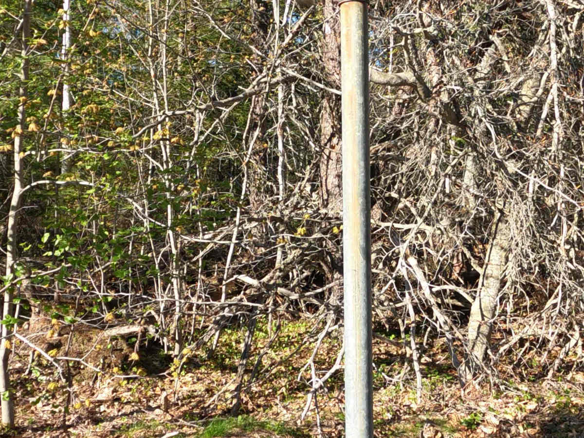 North Brooks Road trail photo
