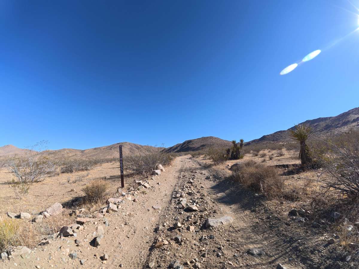 BLM 0M6627 photo 5