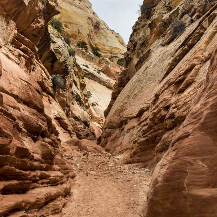 Sheets Gulch as it enters Capitol Reef National Park Near Sheets Gulch