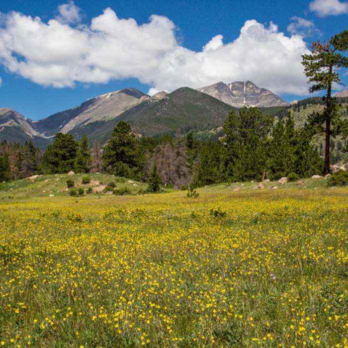 Near North Boundary Trail