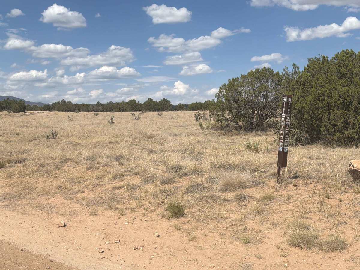 BLM 6101 photo 2