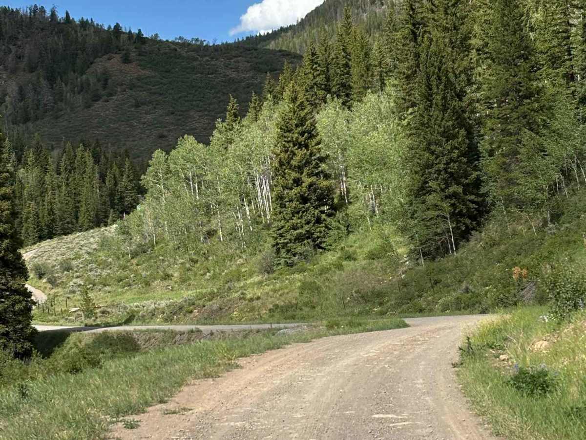 Lime Creek Road photo 5