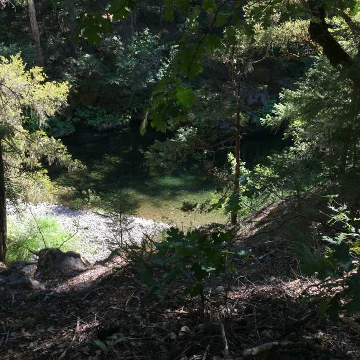 Near North Fork Trail