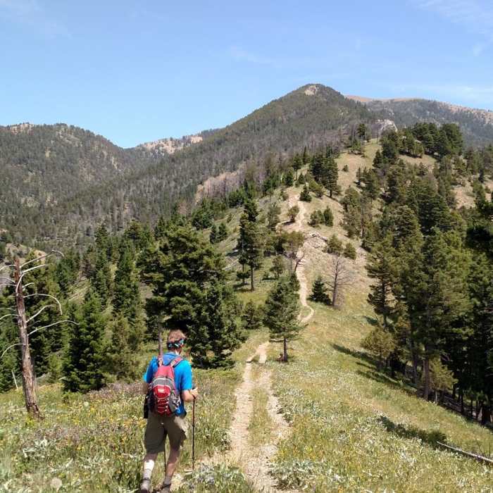 Near Baldy Mountain Near Baldy Mountain