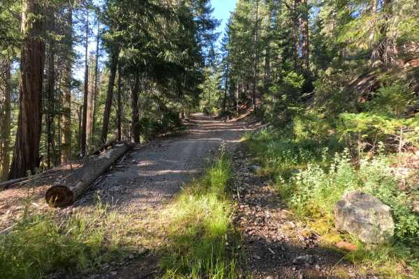 Rock Creek - FS 39N78