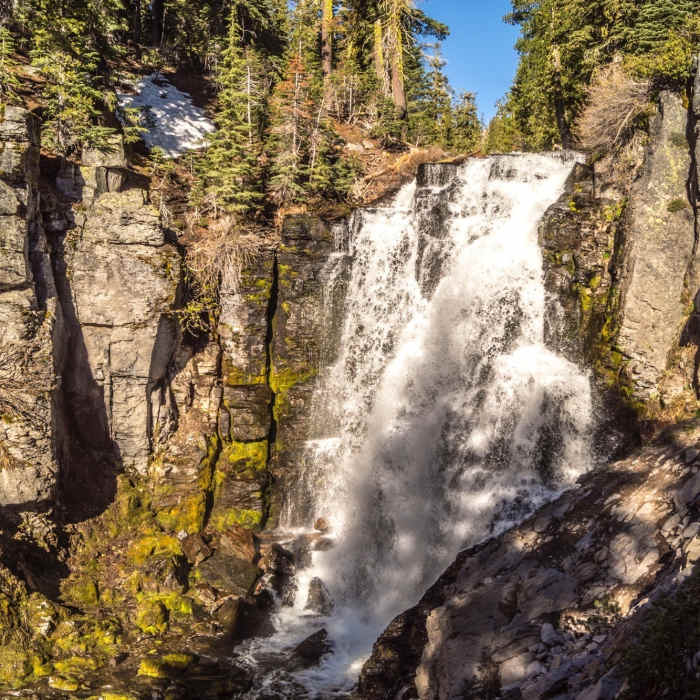 Near Bench Lake Trail