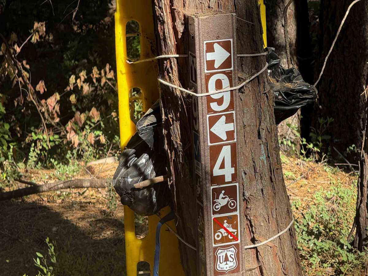 Trail 9 (11E13)  photo 5