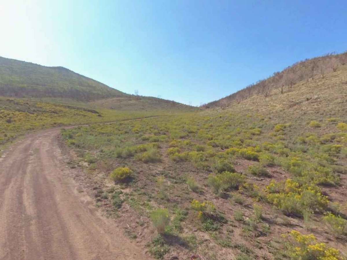 County Road 3575-PST41 photo 4