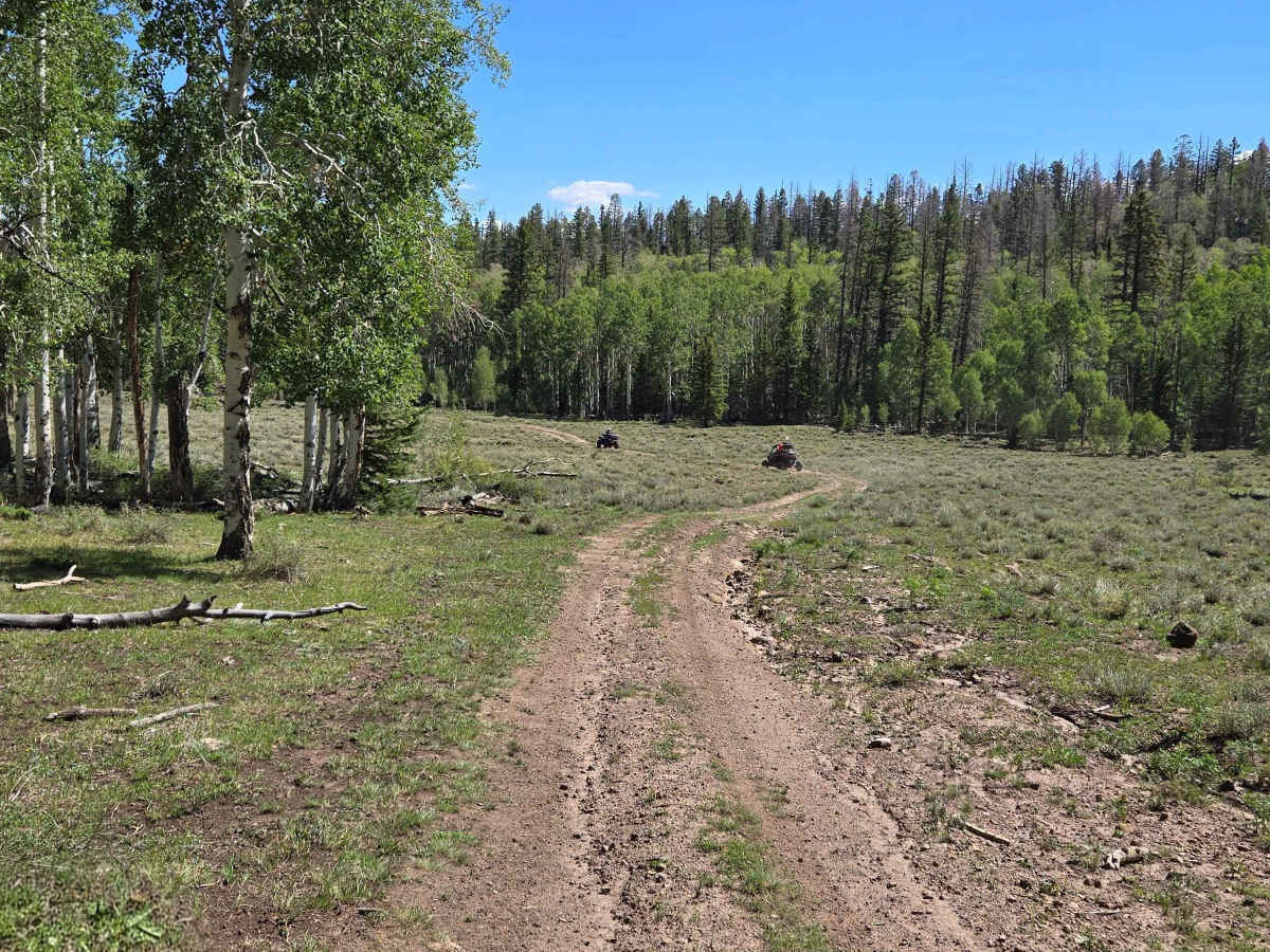 Fred's Trail - FS 31397 photo 4