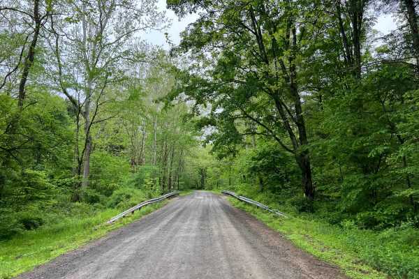Ogdonia Road