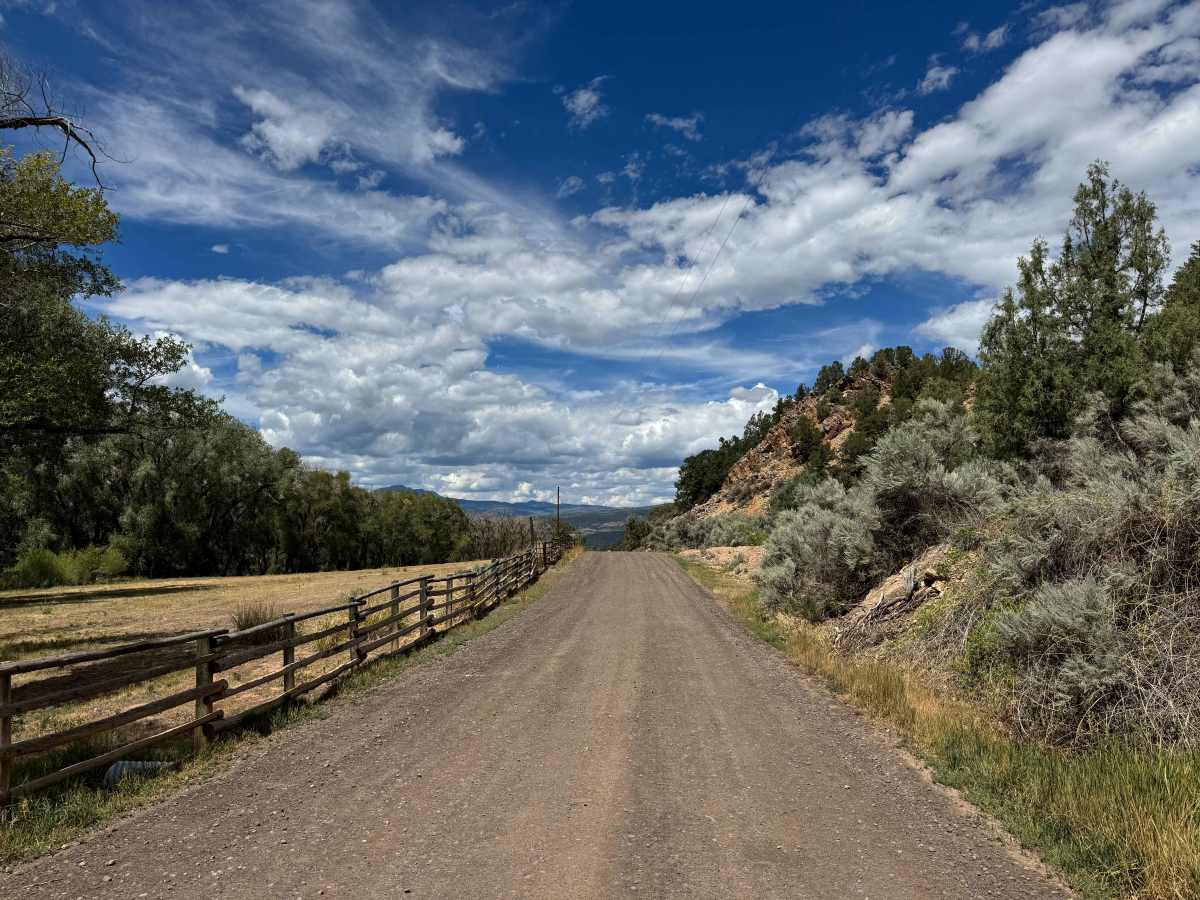 CR 41 photo 5