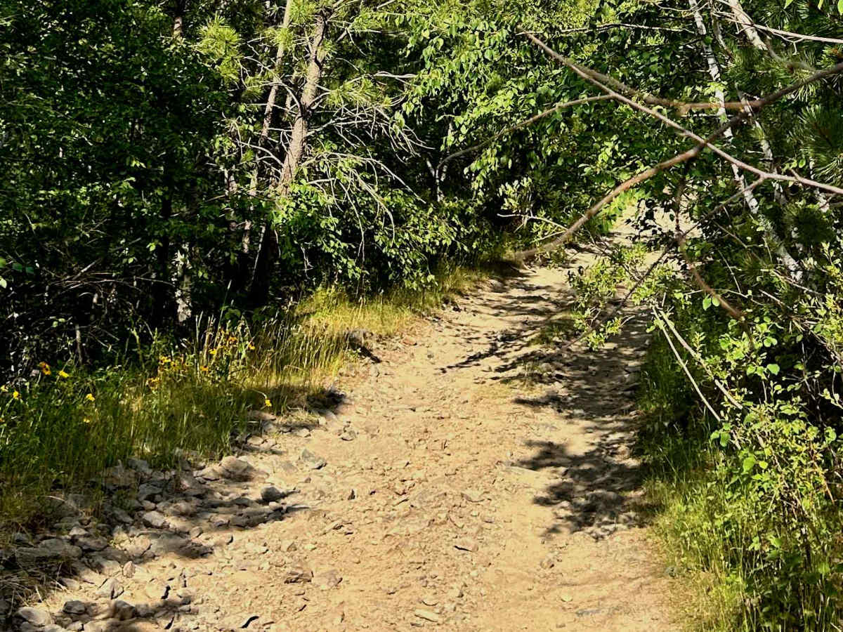 Ruby Gulch Branch - FS 738  photo 2