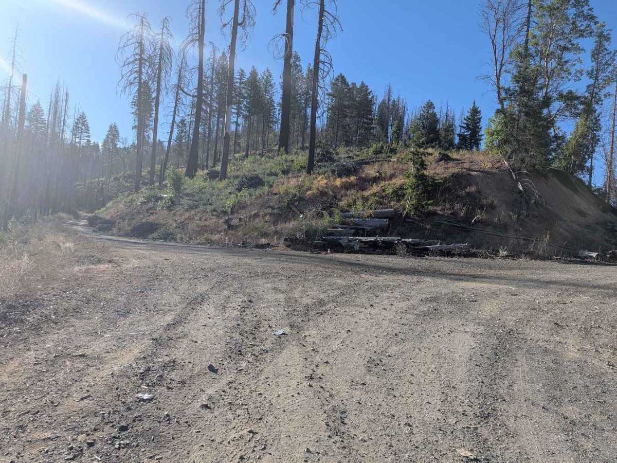 South Fork Goods Creek Road - FS 29N27 photo 5
