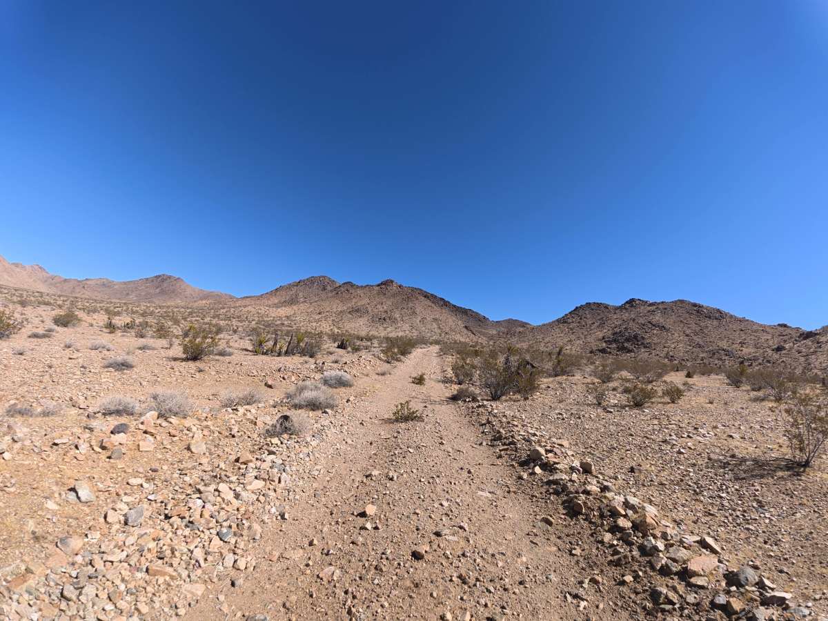 BLM 0M6602 photo 5