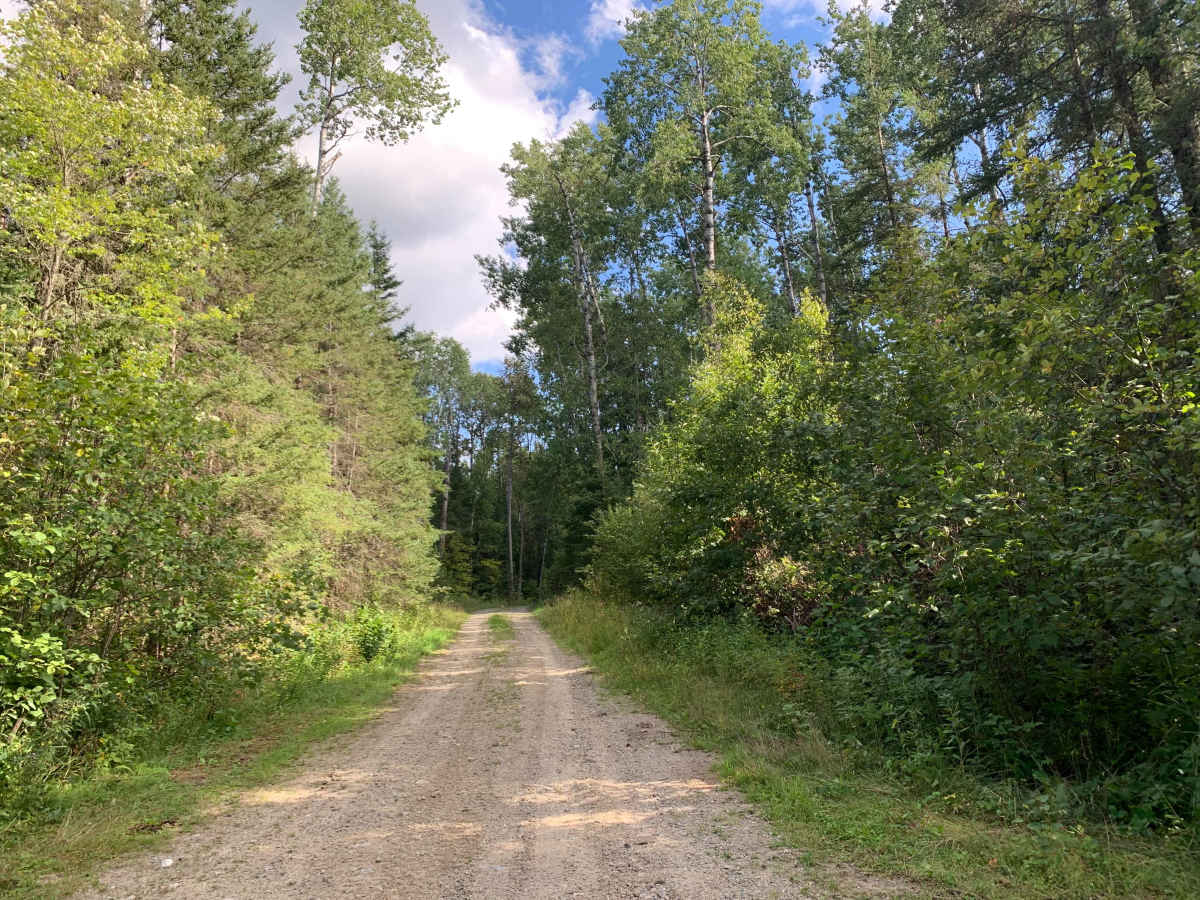 Marion Creek - FS 492 trail photo
