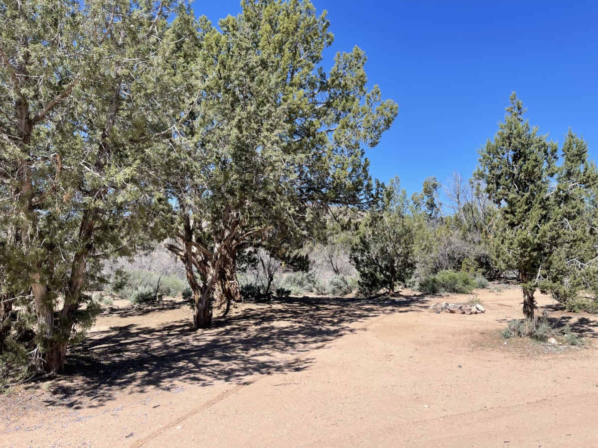 8-Mile Springs trail photo