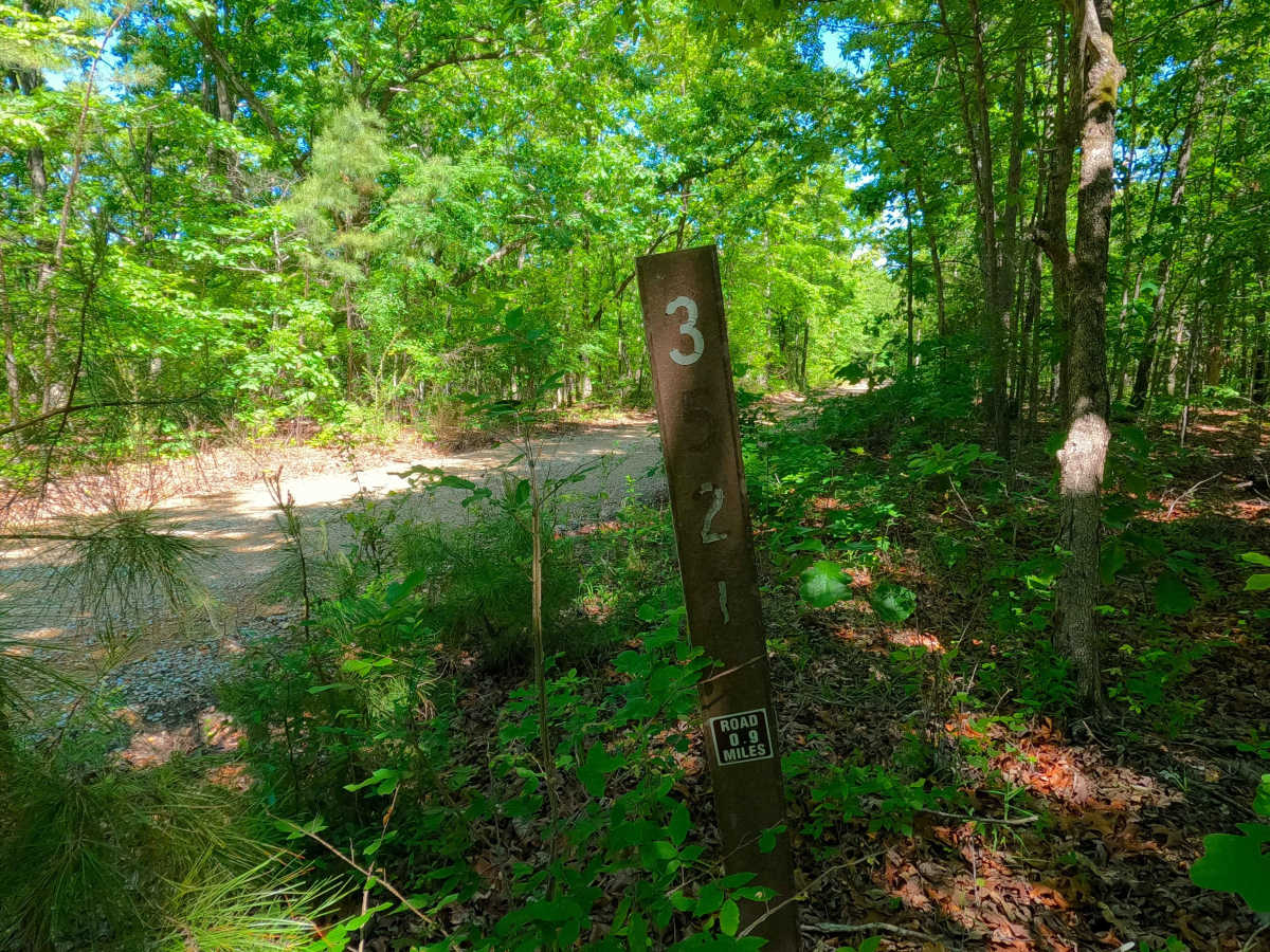 Bradley Ridge - FS 3521 photo 2