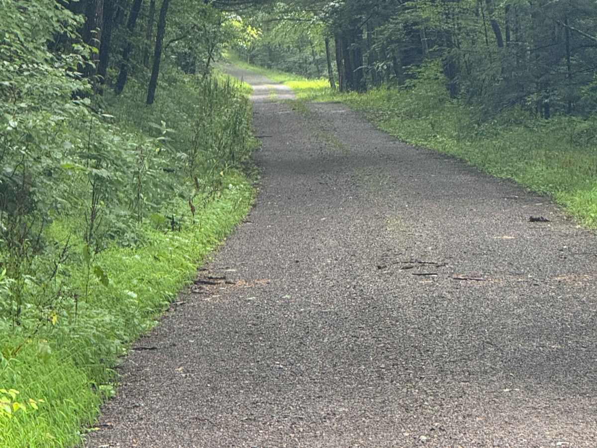 Fire Tower Road photo 4