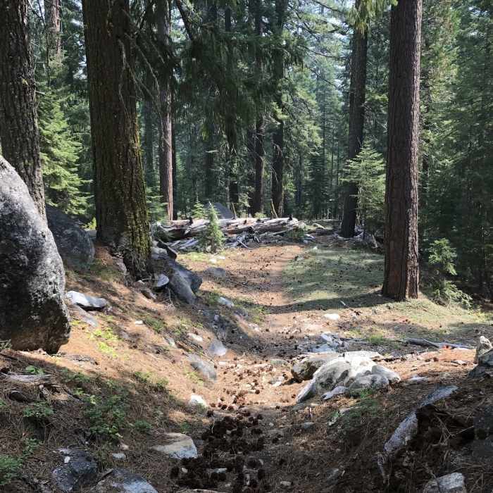 Near Sugar Lake Trail