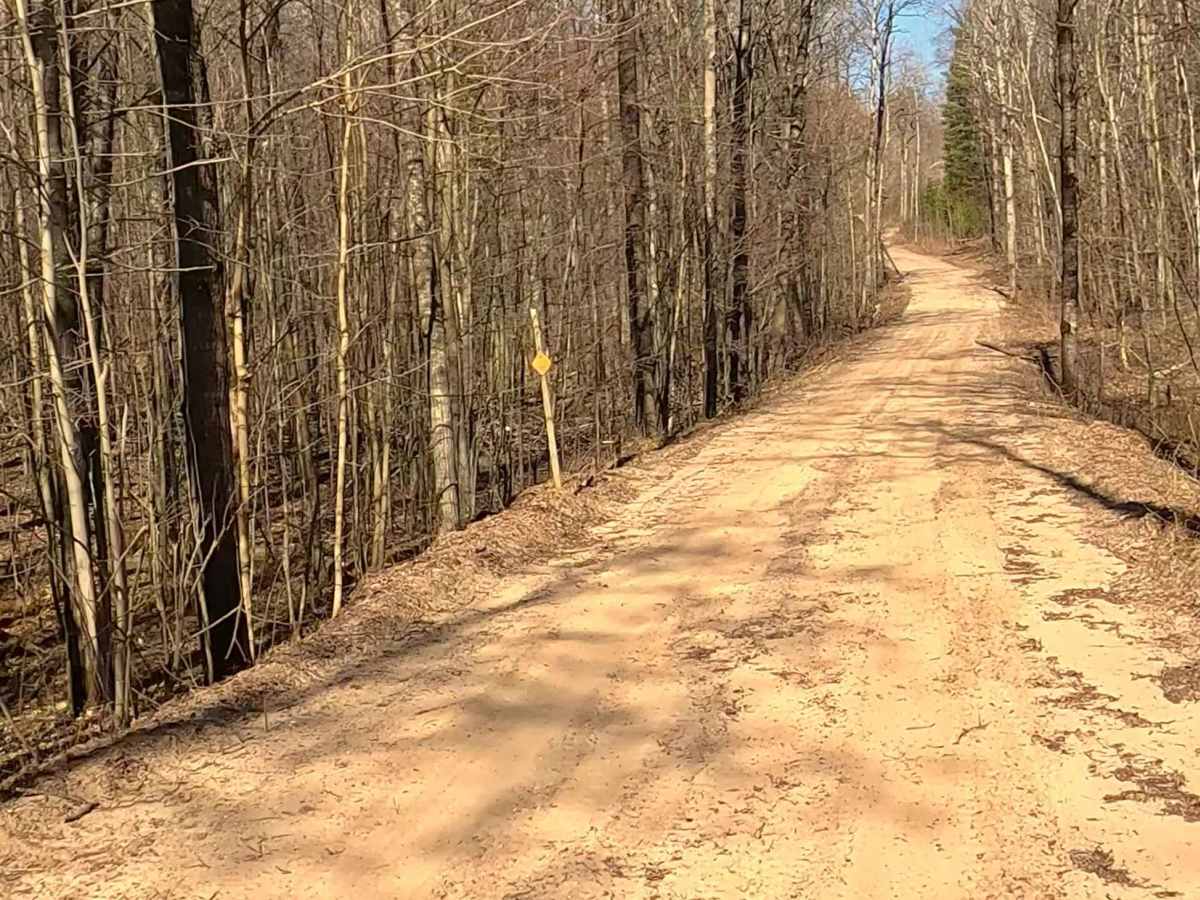 FS 4176 trail photo
