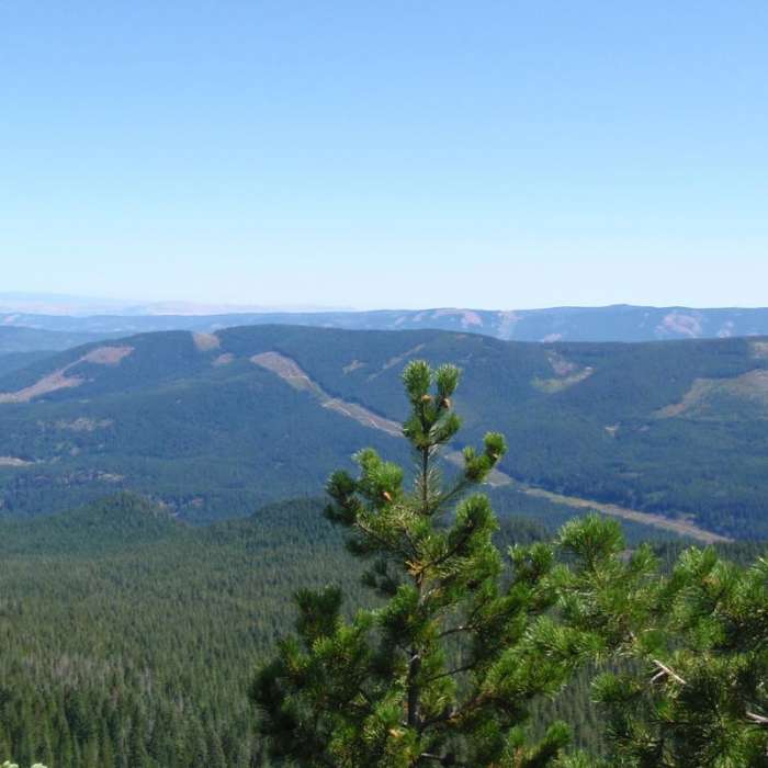 Near Lost Lake Butte