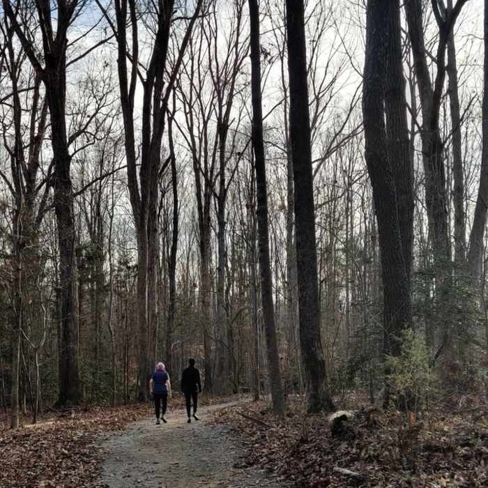 Near Latta Park Shady Loop