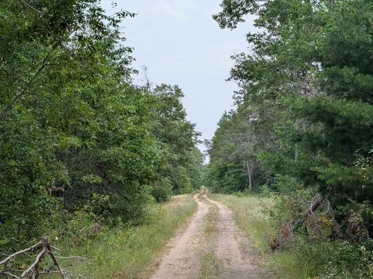 Smith Road - FS 4312 trail photo
