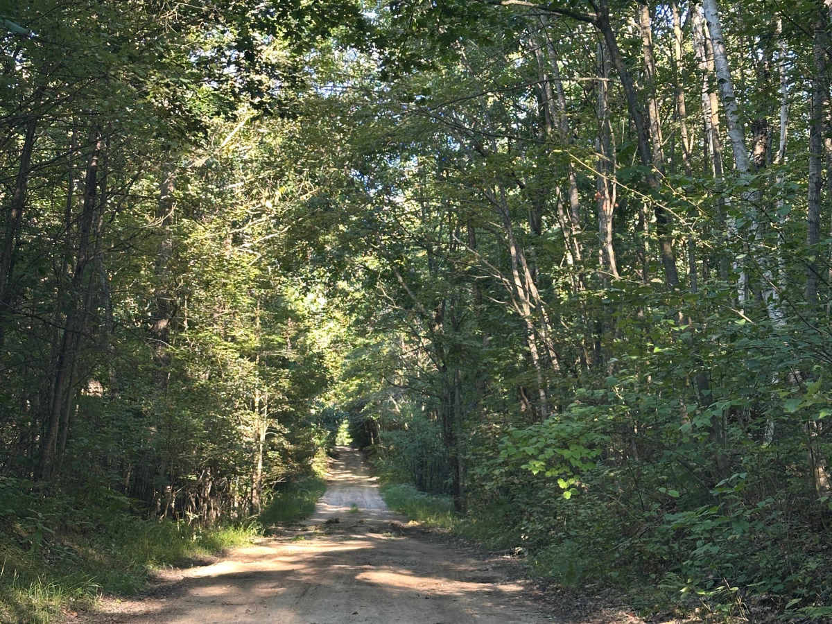 Strief Road photo 6