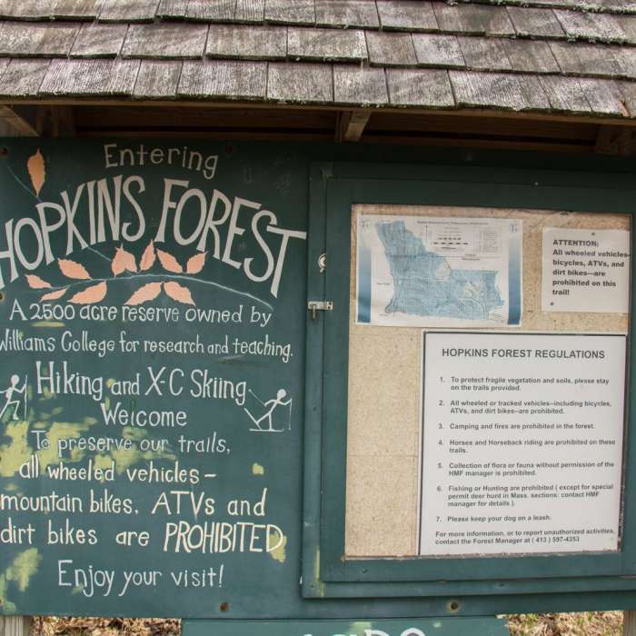 Near Snow Hole + Taconic Crest Trail