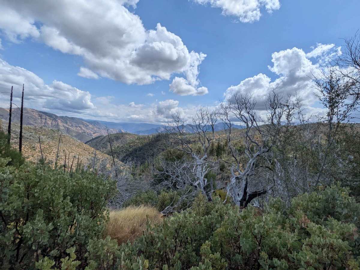 Ferguson Gulch - FS 3S023 trail photo