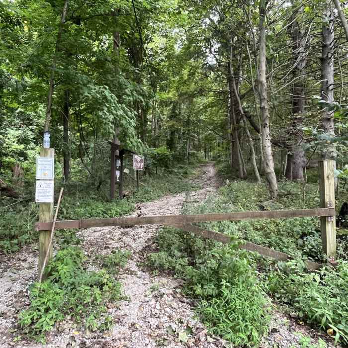 Near Waterloo - Cardiac Loop Near Waterloo - Cardiac Loop